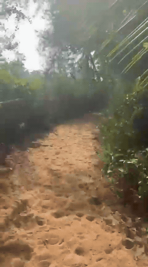 Straight stretch of the path along fields toward the hostel