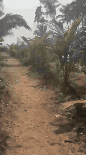 Goko Hostel hanging sign and entrance